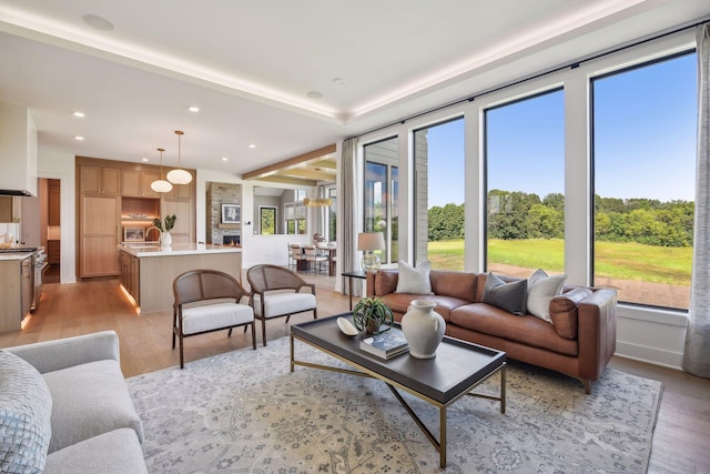 living room featuring light hardwood / wood-style flooring