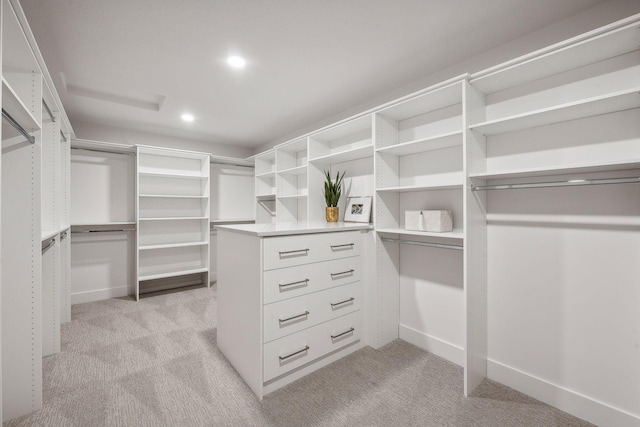 spacious closet featuring light carpet