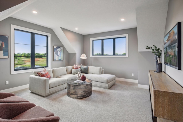 carpeted living room with plenty of natural light