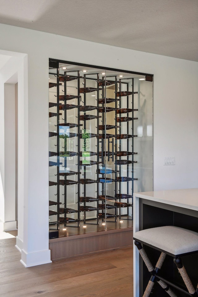 wine area featuring hardwood / wood-style flooring