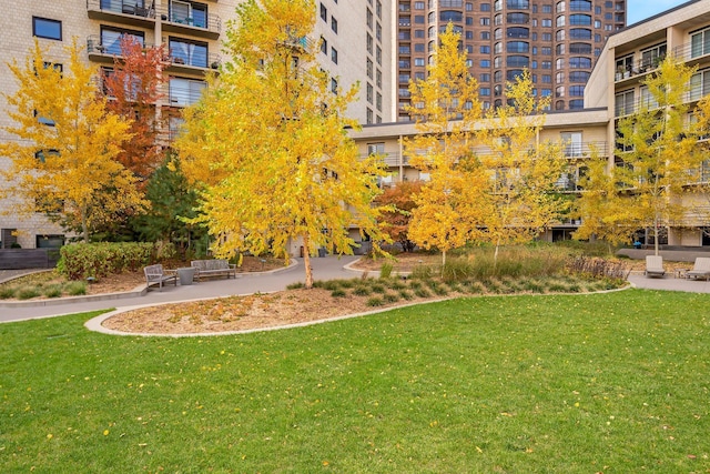 view of home's community with a lawn