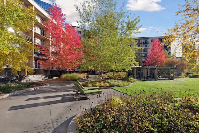 view of community featuring a lawn