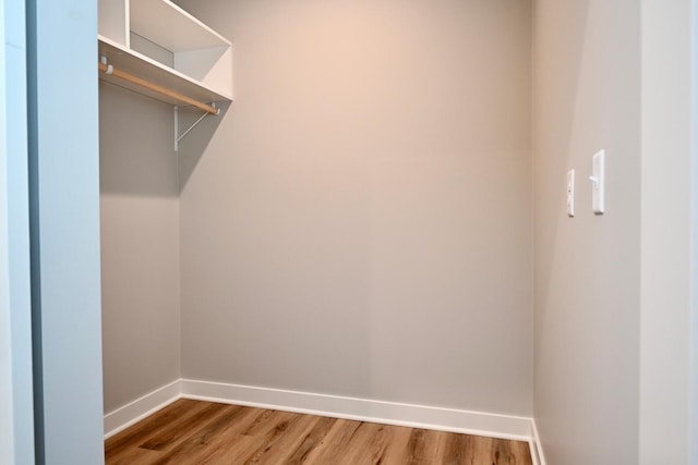 spacious closet featuring wood-type flooring