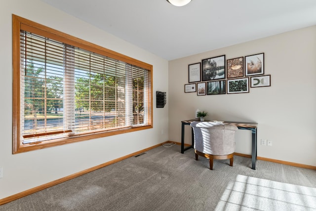 view of carpeted office space