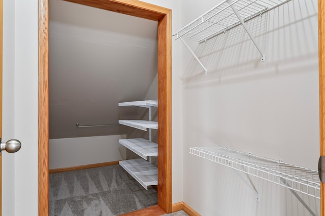 spacious closet featuring carpet flooring