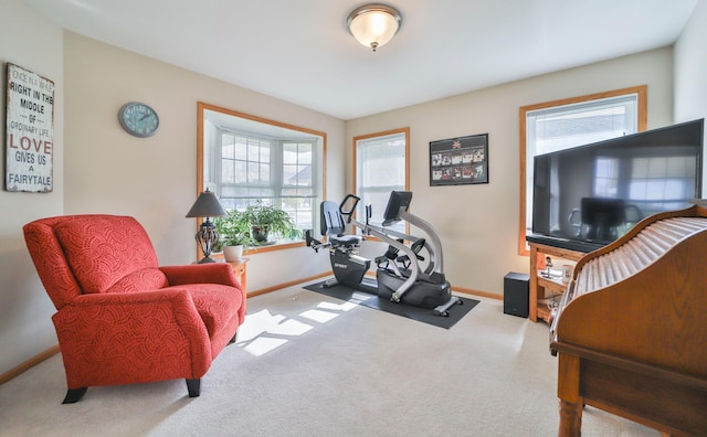 sitting room with light colored carpet