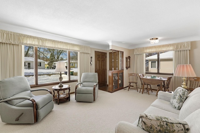 4312 Georgia Ave N, Crystal, MN 55428 - living room with baseboards, carpet floors, and a textured ceiling