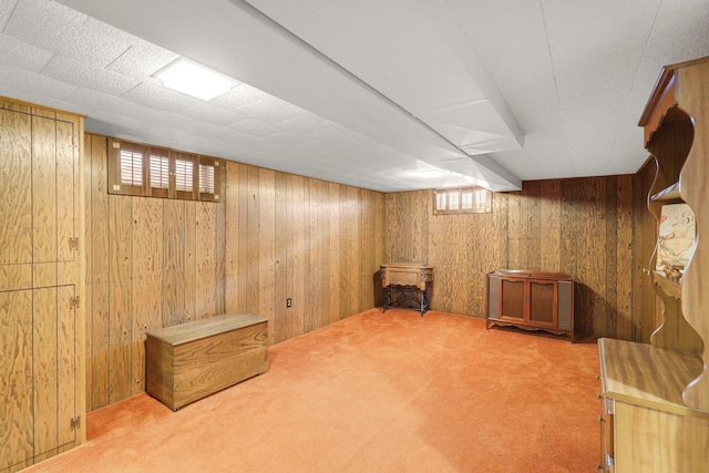 4312 Georgia Ave N, Crystal, MN 55428 - basement with wood walls and carpet flooring