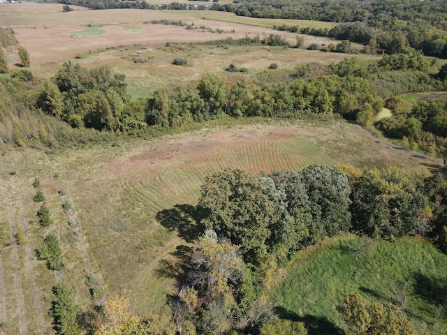 35284 County Road 30, Eden Valley, MN 55329 - photo 5
