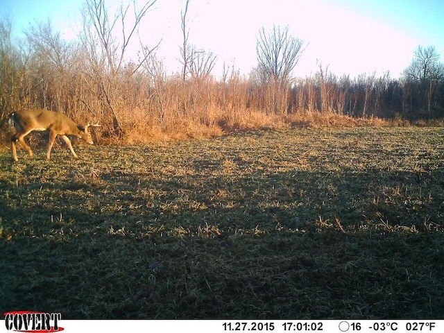 35284 County Road 30, Eden Valley, MN 55329 - photo 12