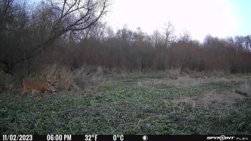 35284 County Road 30, Eden Valley, MN 55329 - photo 15