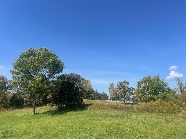 35284 County Road 30, Eden Valley, MN 55329 - photo 39