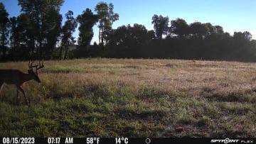 35284 County Road 30, Eden Valley, MN 55329 - photo 42