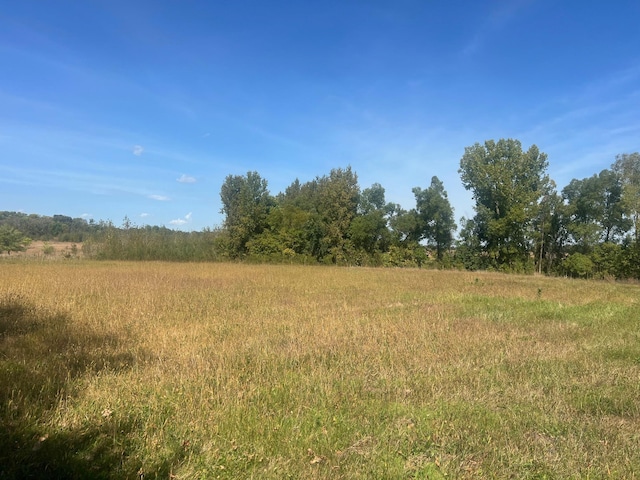35284 County Road 30, Eden Valley, MN 55329 - photo 44