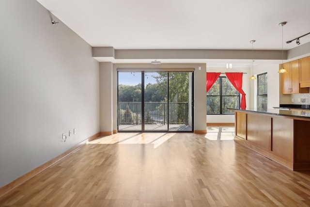 kitchen with rail lighting, decorative light fixtures, and light hardwood / wood-style flooring