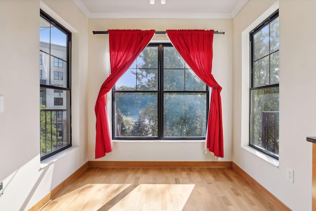 interior space featuring crown molding, light hardwood / wood-style floors, and a healthy amount of sunlight