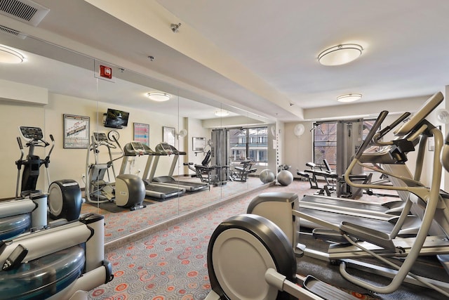 workout area featuring carpet flooring