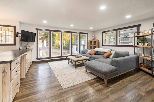 living room featuring dark hardwood / wood-style floors