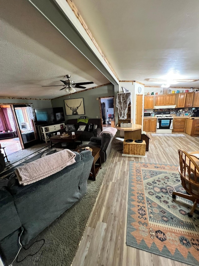 living room featuring wood-type flooring, a textured ceiling, and ceiling fan