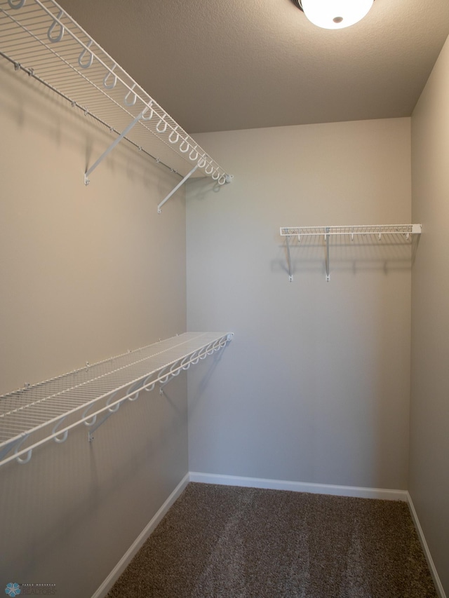 walk in closet with carpet