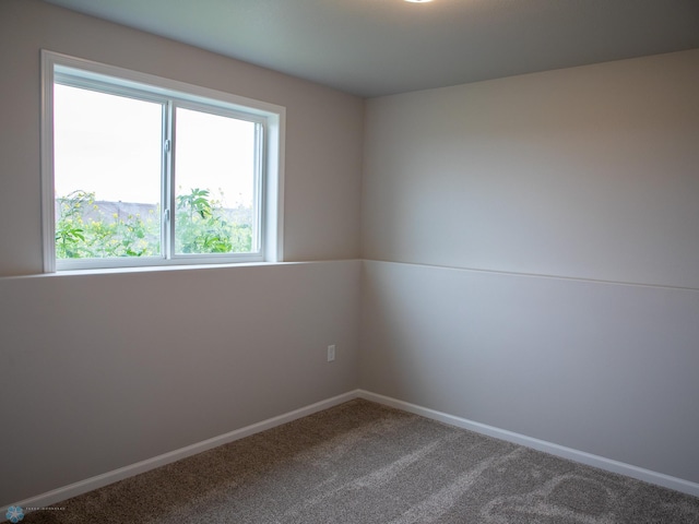 unfurnished room featuring carpet