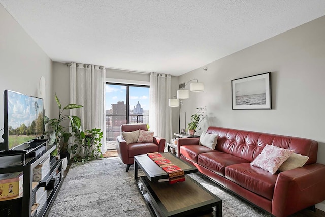 living room with a textured ceiling