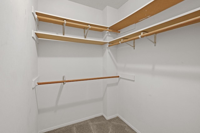 walk in closet with carpet