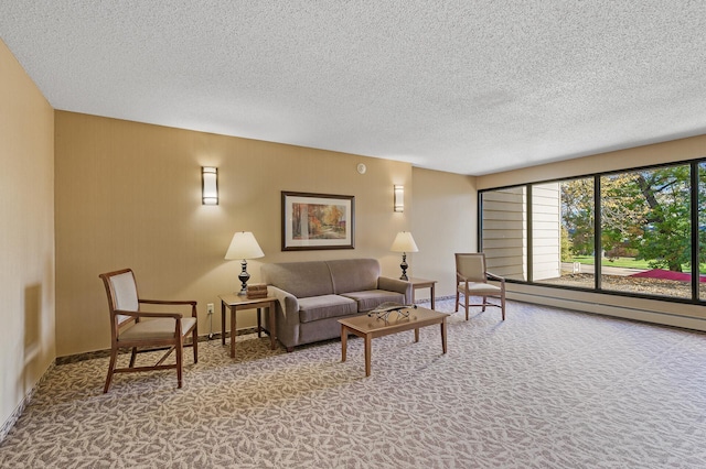 living room with a textured ceiling and carpet