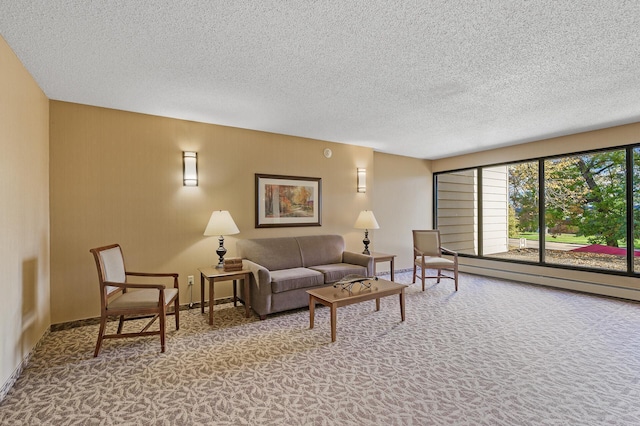 7500 Cahill Rd Unit 202C, Edina, MN 55439 - living area featuring carpet floors and a textured ceiling