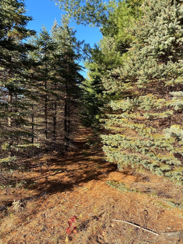 17201 Saint Francis Blvd, Ramsey, MN 55303