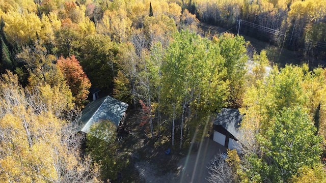 bird's eye view with a view of trees