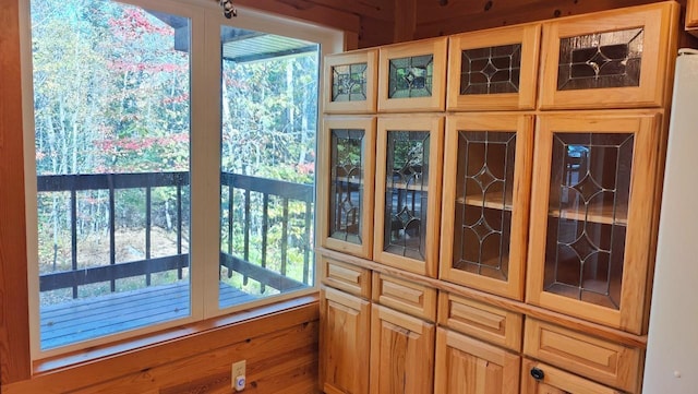 entryway featuring a wealth of natural light