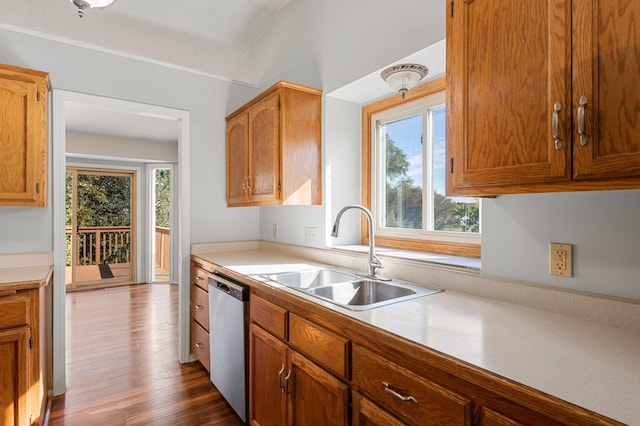 kitchen featuring sink, dark hardwood / wood-style floors, and dishwasher