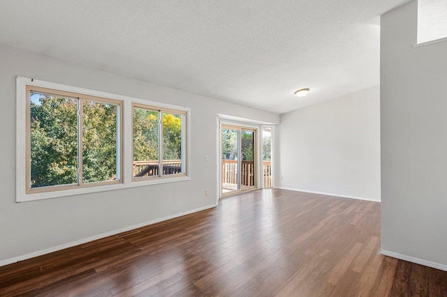 empty room featuring hardwood / wood-style flooring, a wealth of natural light, and a textured ceiling