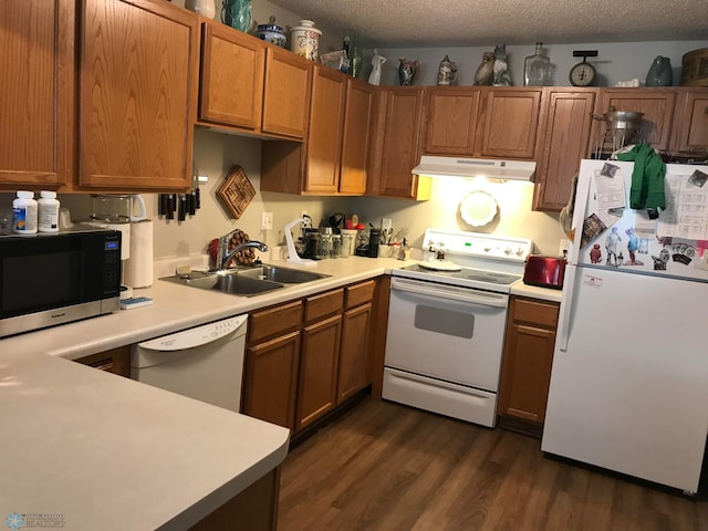358 30th St N, Moorhead, MN 56560 - kitchen featuring under cabinet range hood, dark wood-style flooring, white appliances, a sink, and light countertops