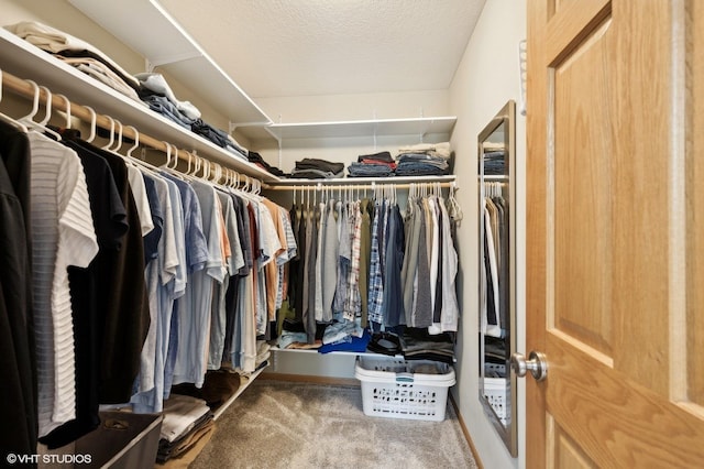 walk in closet with carpet