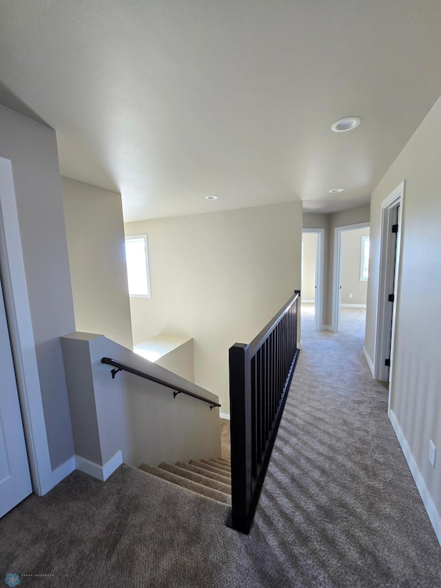 6379 83rd Ave S, Fargo, ND 58047 - stairs featuring carpet floors