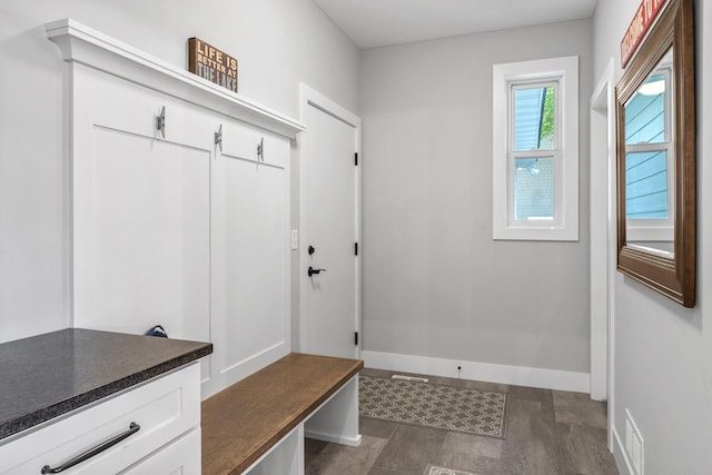 mudroom with dark wood-type flooring