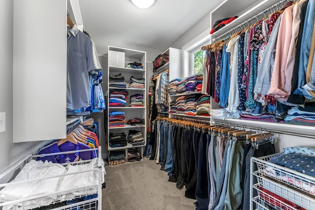 spacious closet featuring carpet floors