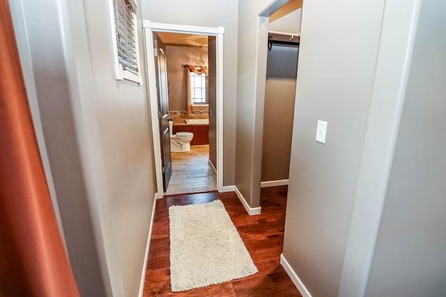 hallway with dark wood-type flooring