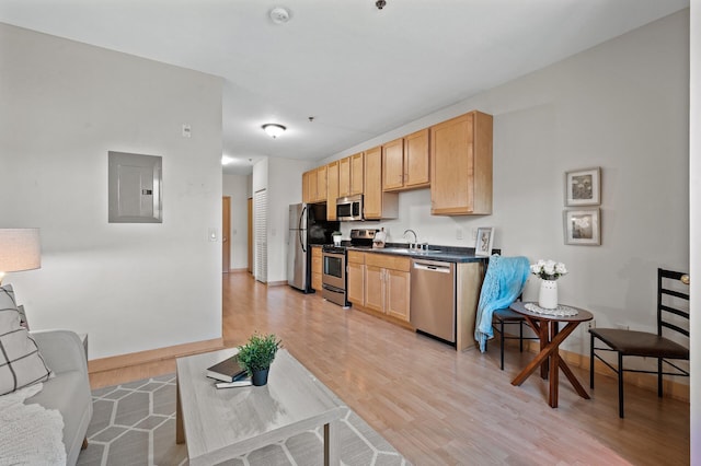 kitchen featuring electric panel, light brown cabinetry, light hardwood / wood-style flooring, sink, and stainless steel appliances