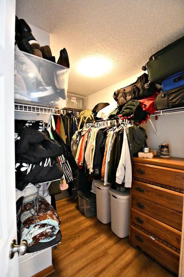 spacious closet featuring wood-type flooring