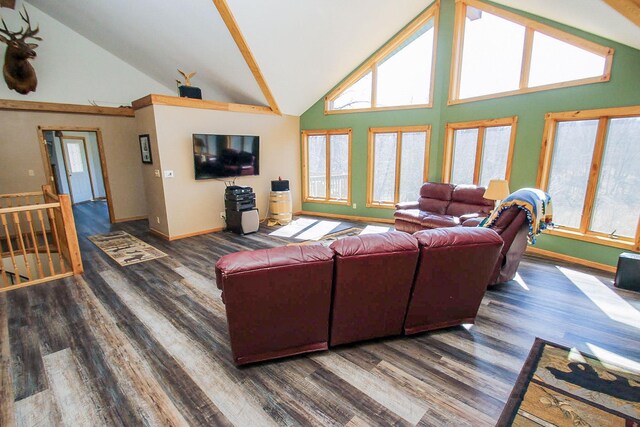 living room featuring high vaulted ceiling and dark hardwood / wood-style floors