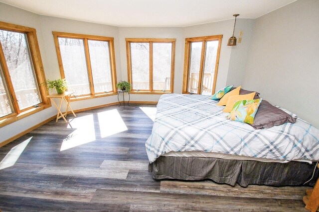 bedroom featuring dark hardwood / wood-style flooring and multiple windows