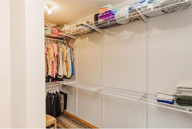 spacious closet with hardwood / wood-style floors