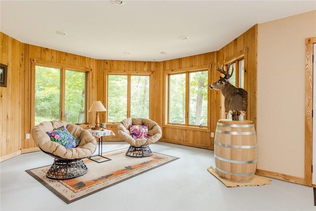 living area with wood walls and a healthy amount of sunlight