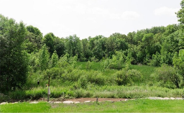 view of local wilderness