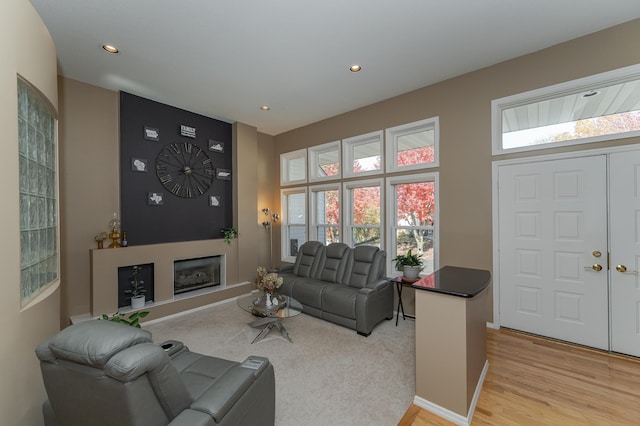 living room with light wood-type flooring