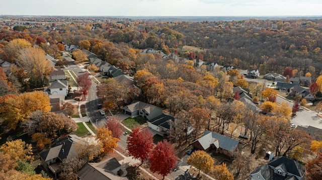 bird's eye view