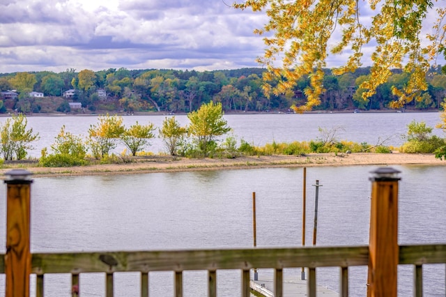 property view of water